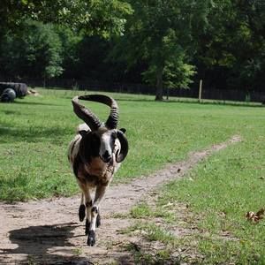 Meet your Posher, Vickie